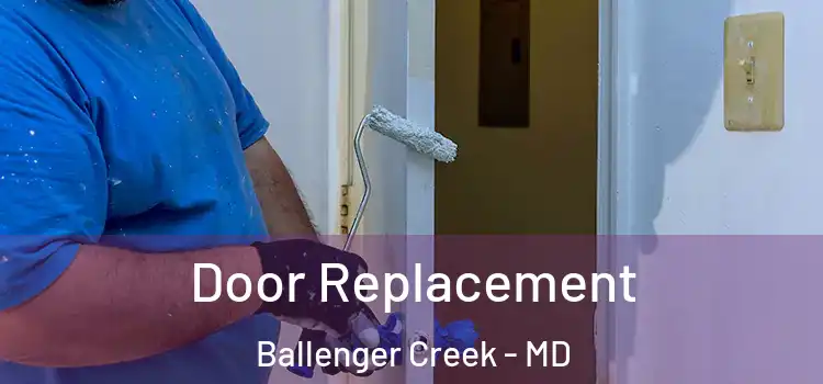 Door Replacement Ballenger Creek - MD