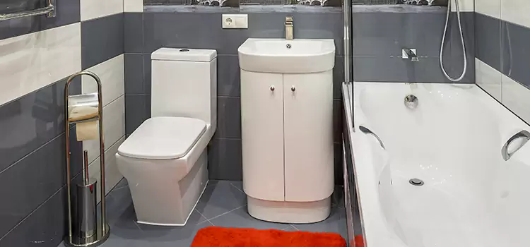 Hansgrohe Shaving Mirror Ballenger Creek
