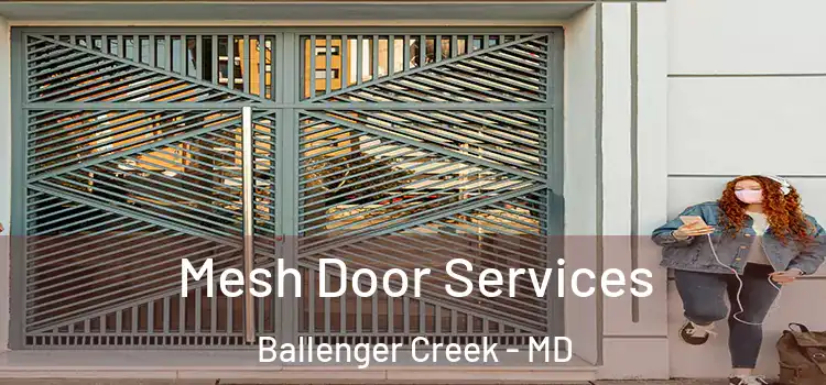 Mesh Door Services Ballenger Creek - MD