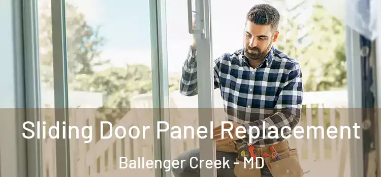  Sliding Door Panel Replacement Ballenger Creek - MD